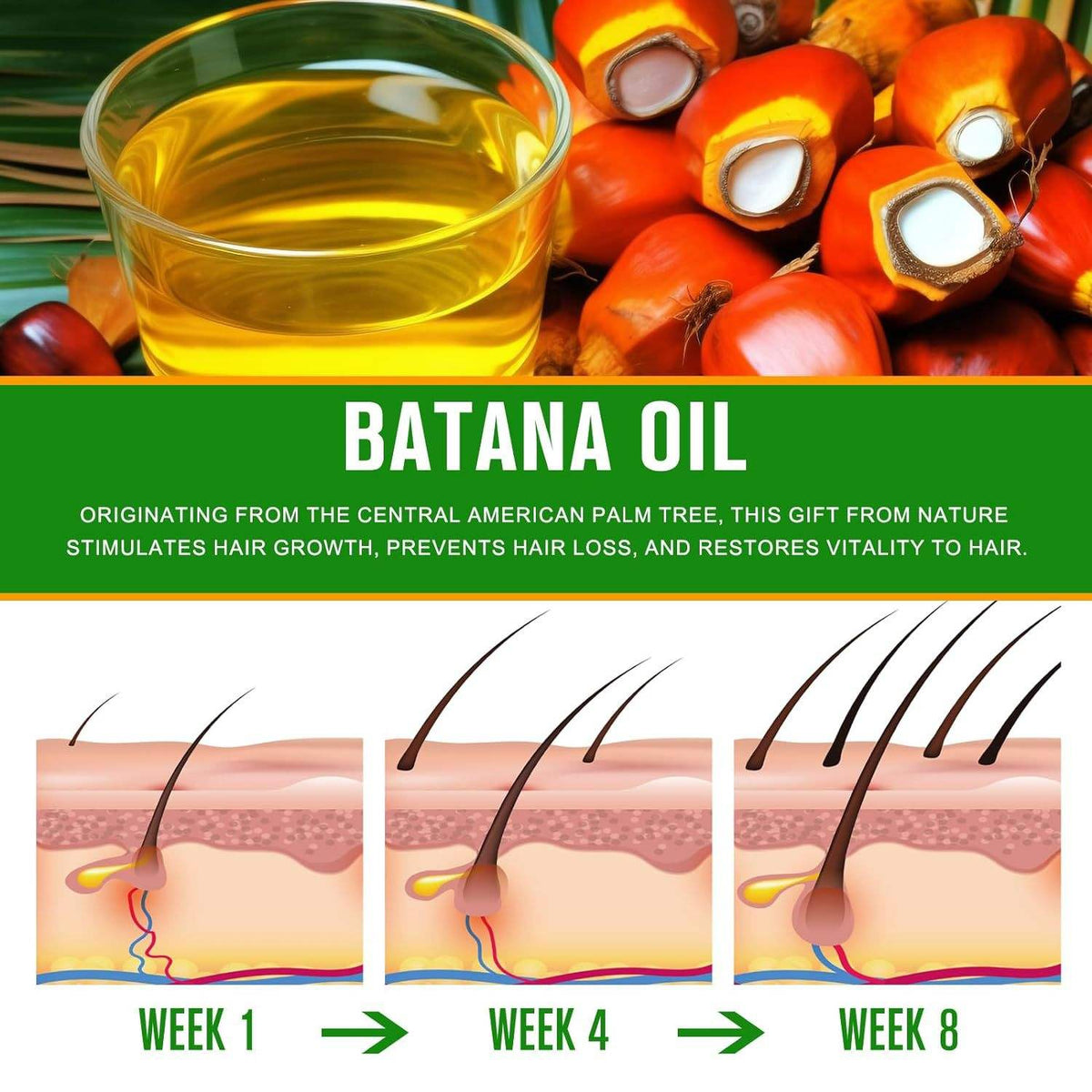 OEM ODM Raw Batana Oil For Hair Growth 100 Percent Pure Batana Oil From Honduras For Thick And Strong Natural Hair Oil